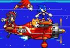 Final Fantasy Sonic X 6