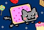 Nyan Cat Fly