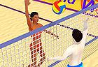 Summer Sports: Volleyball