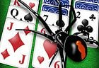 Spider Solitaire Game