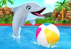 My Dolphin Show