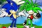 Sonic Brother Trouble