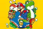 Super Mario Bros 2 Player Co-Op Quest