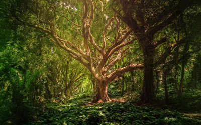 NFT – Another Blockchain Application